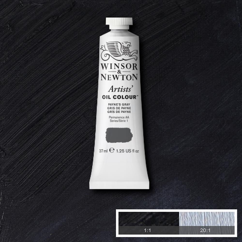 Winsor & Newton Artists' Oil Colour - Payne's Gray