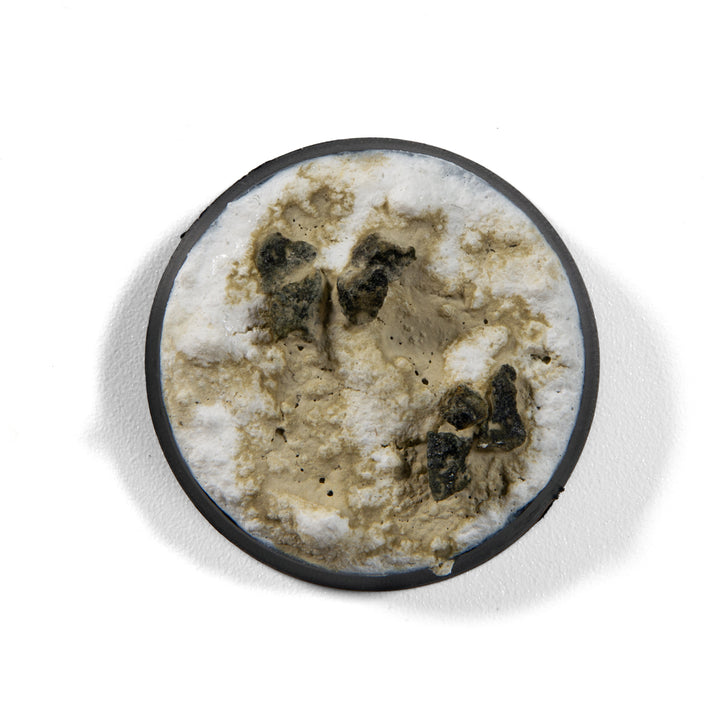 Enamel Liquid Pigment: Concrete (AK Interactive) (AK14006) (104)