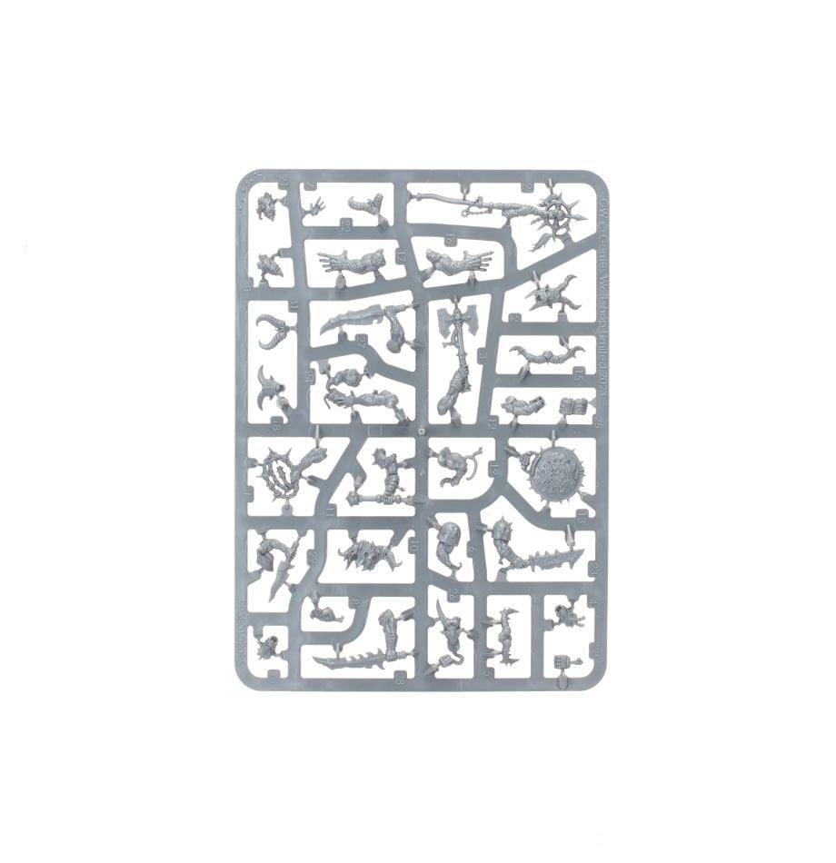 Warhammer 40,000: Kill Team - Fellgor Ravagers