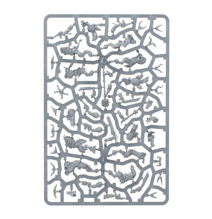 Warhammer 40,000: Kill Team - Fellgor Ravagers