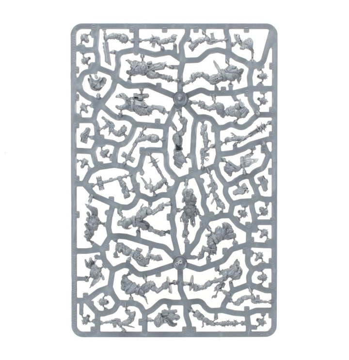 Warhammer 40,000: Kill Team - Fellgor Ravagers