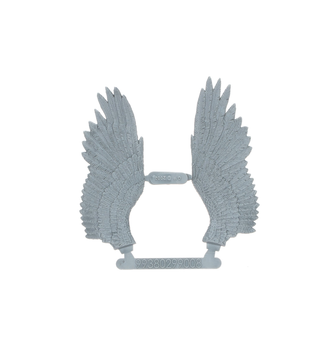 Warhammer: The Old World - Kingdom of Bretonnia, Pegasus Knights