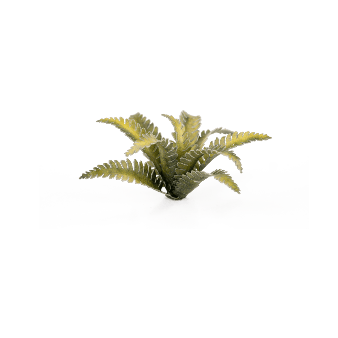 GamersGrass: Laser Plants - Deer Fern