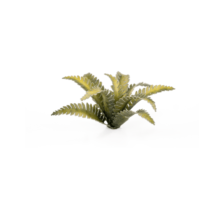 GamersGrass: Laser Plants - Deer Fern