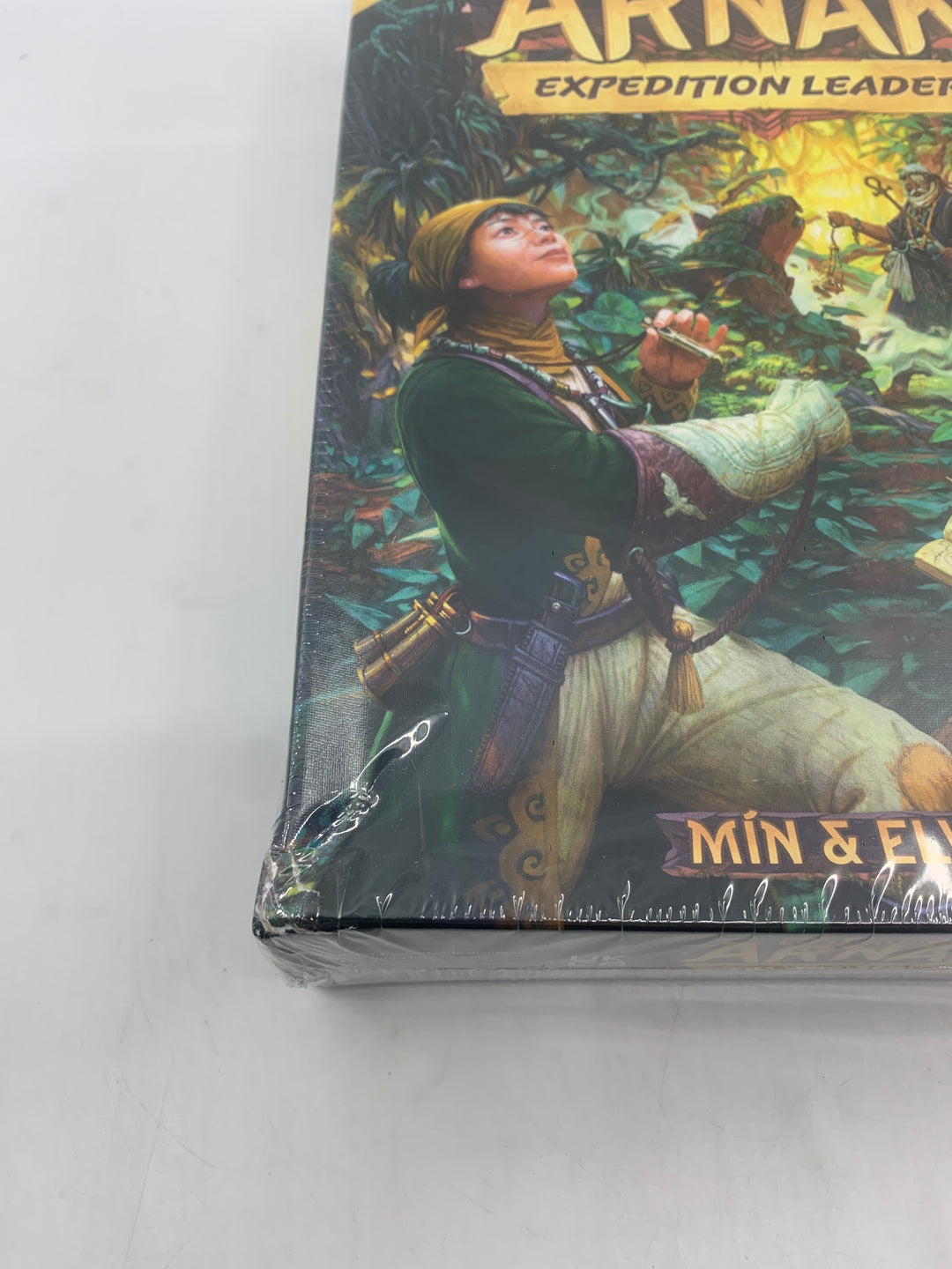 Lost Ruins of Arnak: Expedition Leaders - Transportskadet