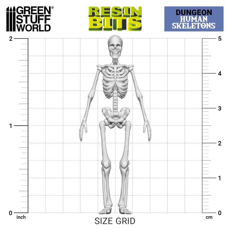 3D printed set - Human Skeletons 1:35 (Green Stuff World)