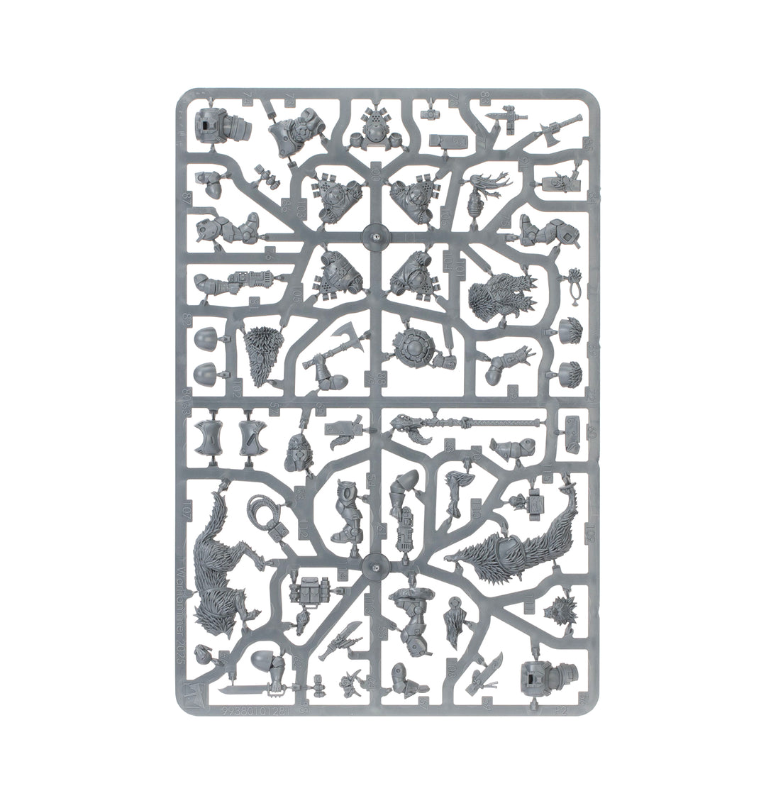 Warhammer 40,000: Kill Team - Wolf Scouts