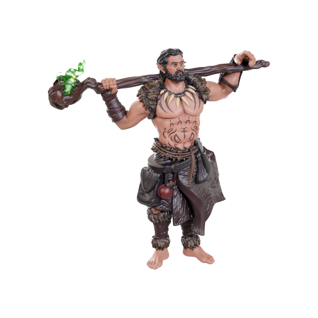 Dungeons & Dragons - Nolzur's Marvelous Miniatures: Archdruid & Martial Arts Adept