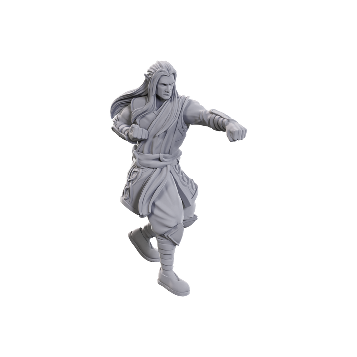 Dungeons & Dragons - Nolzur's Marvelous Miniatures: Archdruid & Martial Arts Adept