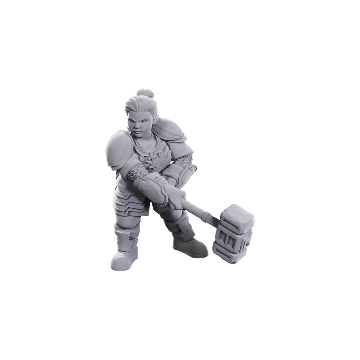 Dungeons & Dragons Nolzur's Marvelous Miniatures: 50th Anniversary Dwarves