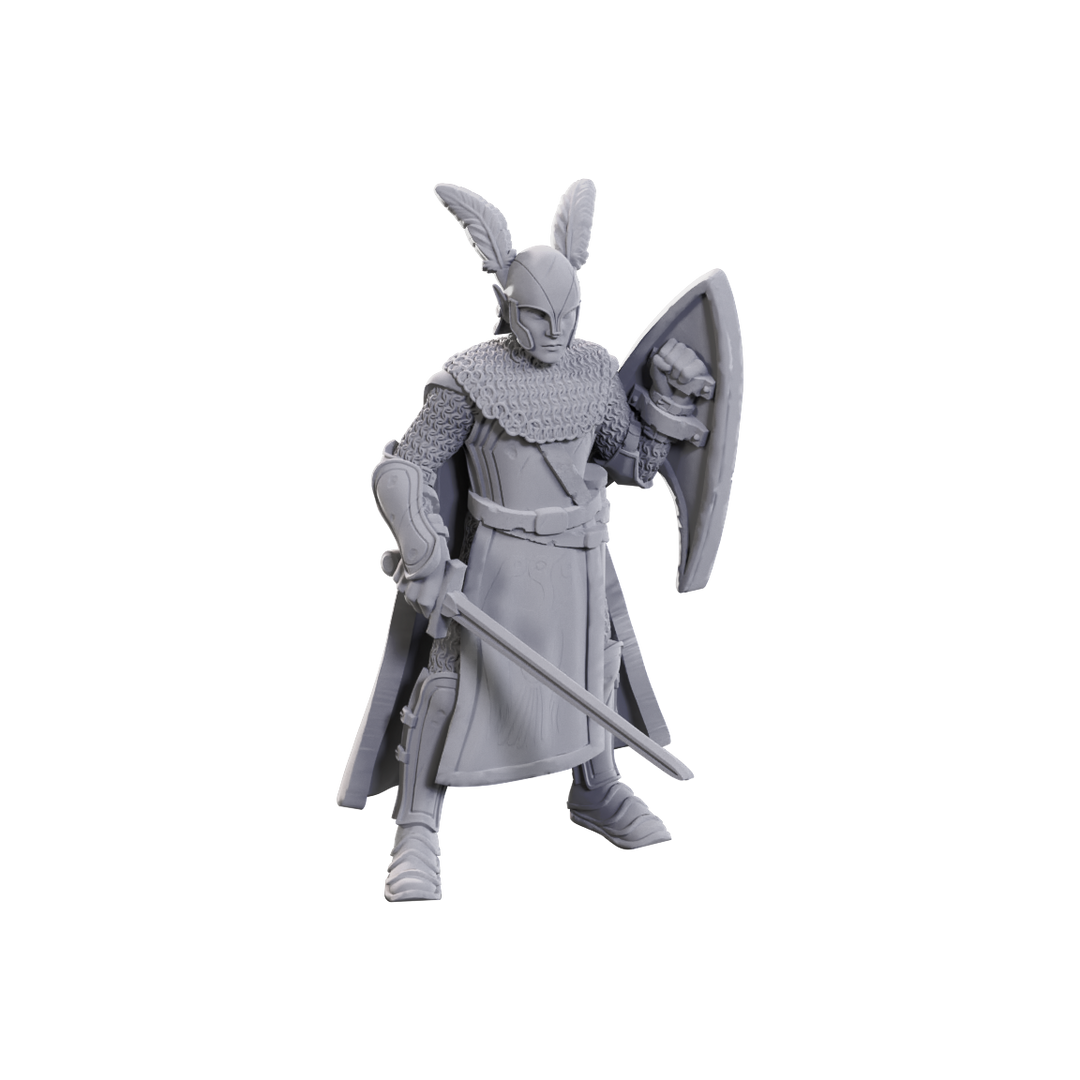 Dungeons & Dragons Nolzur's Marvelous Miniatures: 50th Anniversary Elves