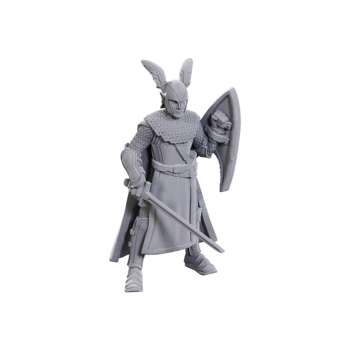 Dungeons & Dragons Nolzur's Marvelous Miniatures: 50th Anniversary Elves