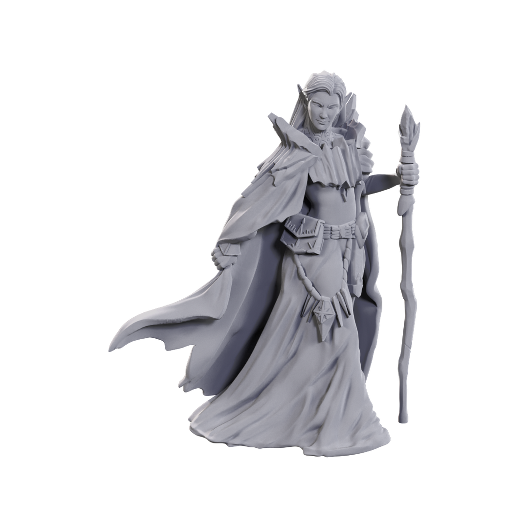 Dungeons & Dragons Nolzur's Marvelous Miniatures: 50th Anniversary Elves