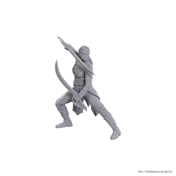 Dungeons & Dragons - Nolzur's Marvelous Miniatures: Jaheira & Halsin