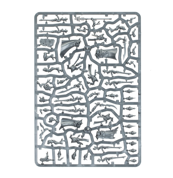 Warhammer 40,000: Aeldari - Corsair Voidreavers