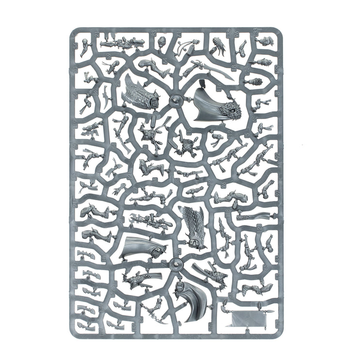 Warhammer 40,000: Aeldari - Corsair Voidreavers