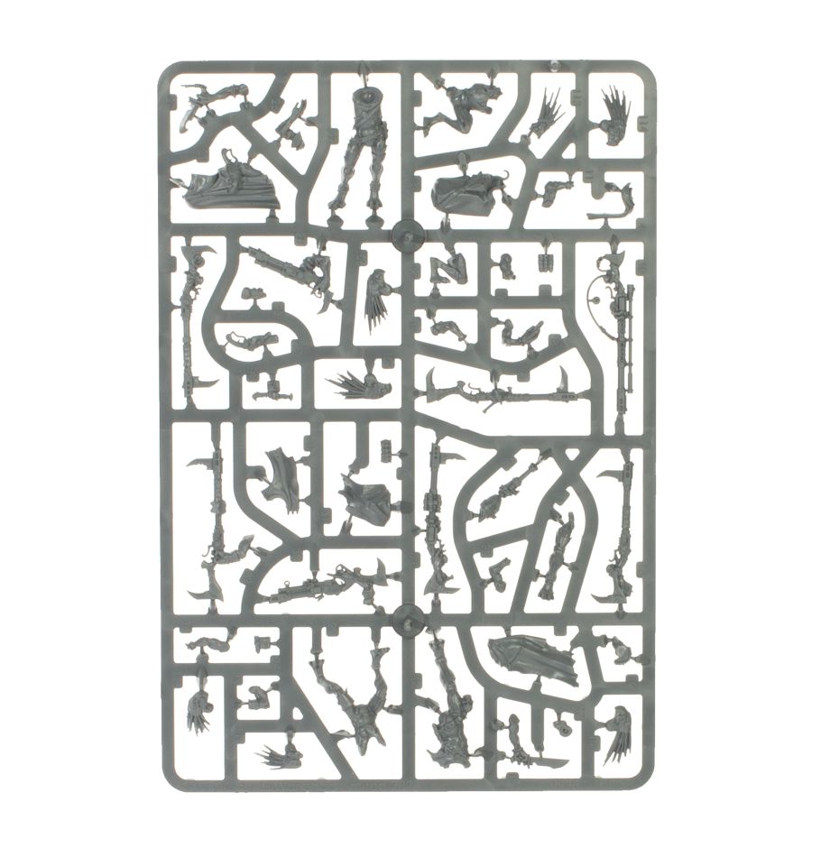 Warhammer 40,000: Combat Patrol - Kroot