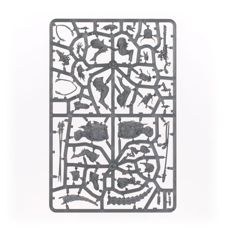 Warhammer 40,000: Combat Patrol - Kroot