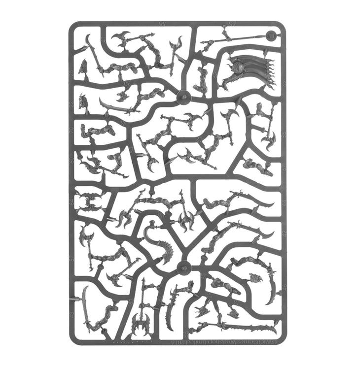 Warhammer Age of Sigmar: Disciples of Tzeentch – Tzaangor Warflock Spearhead