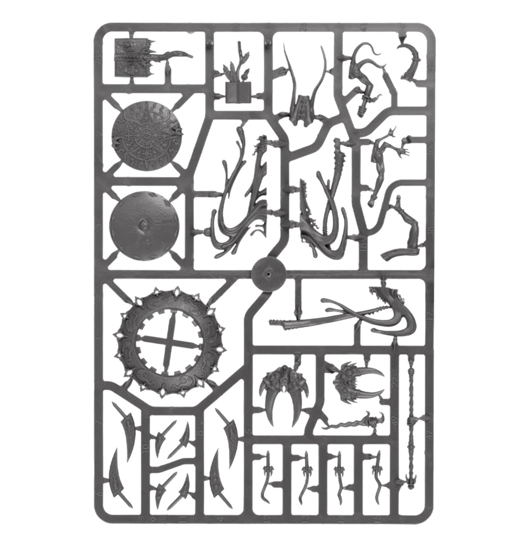 Warhammer Age of Sigmar: Disciples of Tzeentch – Warpflame Cavalcade Battleforce