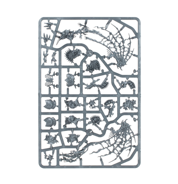 Warhammer Age of Sigmar: Ossiarch Bonereapers – Null Myriad Phalanx Battleforce