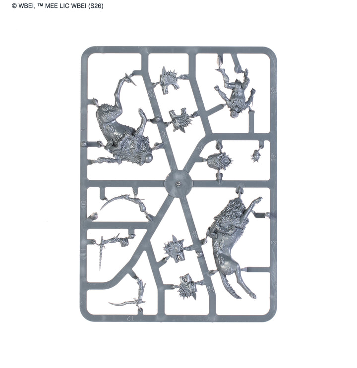 Middle-Earth Strategy Battle Game: Dol Guldur™ Battlehost
