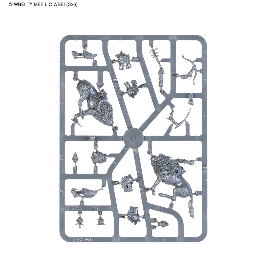 Middle-Earth Strategy Battle Game: Dol Guldur™ Battlehost