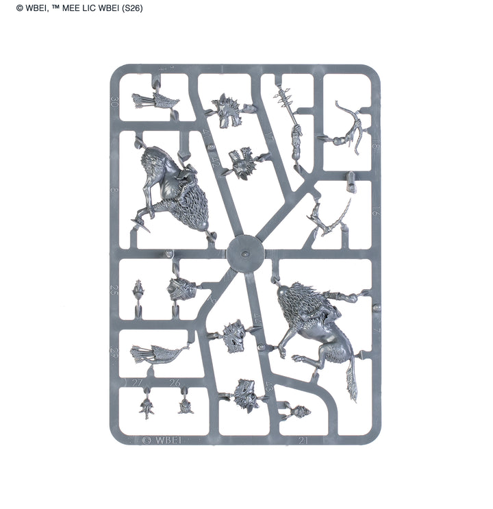 Middle-Earth Strategy Battle Game: Dol Guldur™ Battlehost