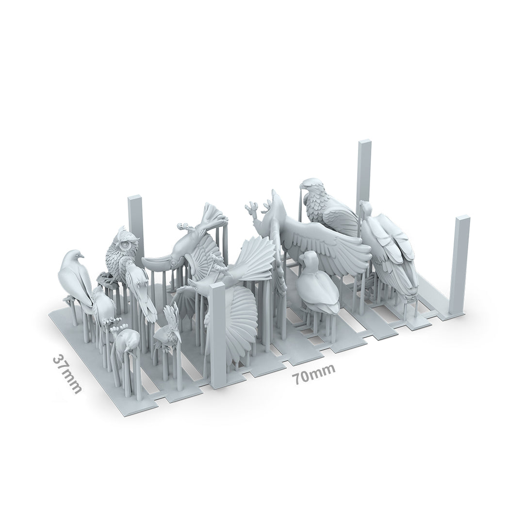 Birds – AK Basing Bits (AK Interactive) (AKBIT0051)