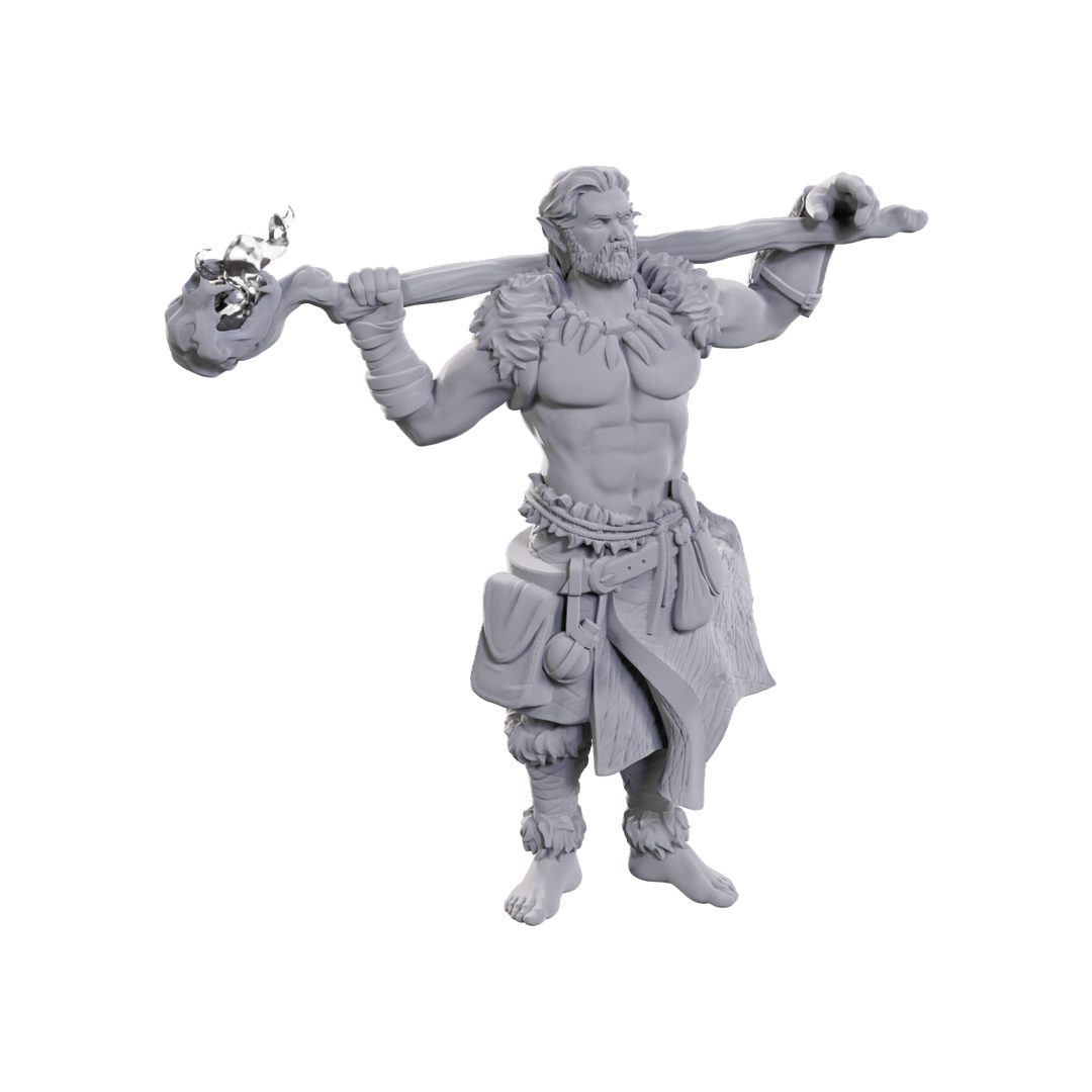 Dungeons & Dragons - Nolzur's Marvelous Miniatures: Archdruid & Martial Arts Adept
