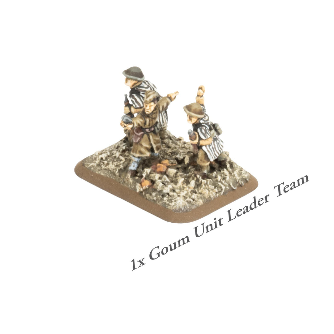 Flames of War: French Army Deal - Compagnie De Tirailleurs Rifle Company (FRAB04)
