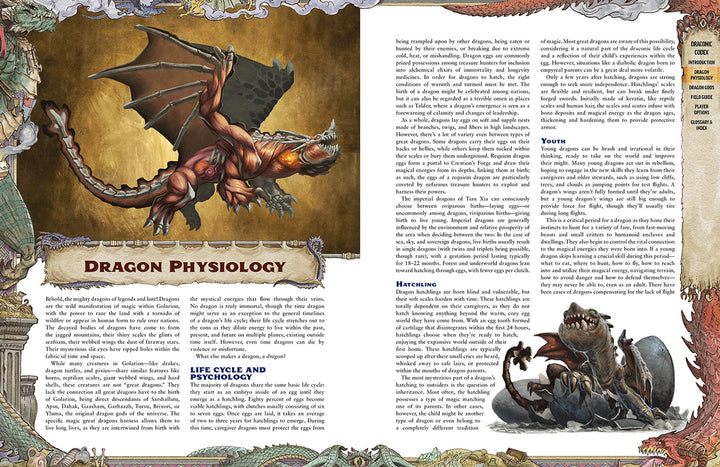 Pathfinder Lost Omens Draconic Codex (Special Edition)