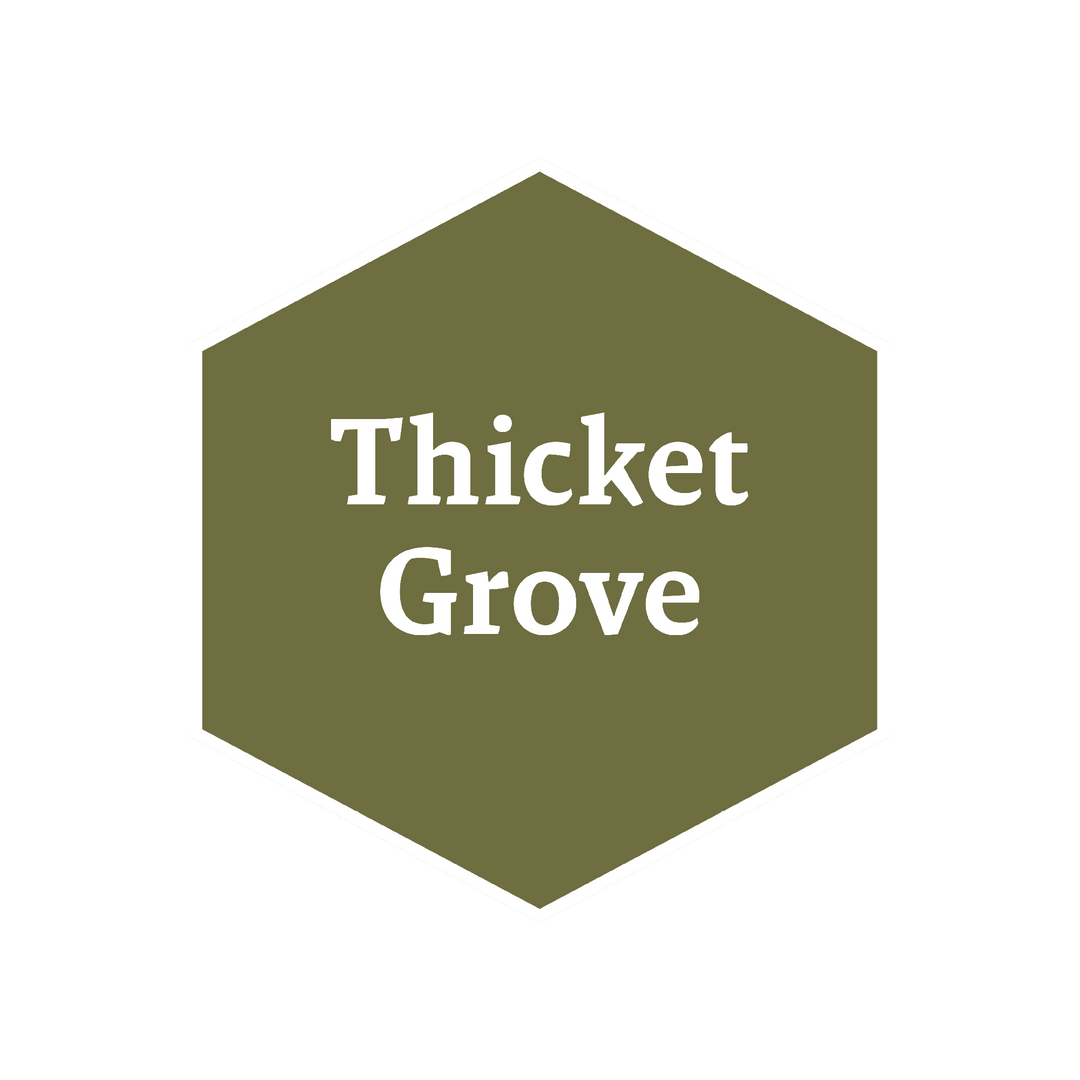 John Blanche Masterclass: Thicket Grove (The Army Painter) (WP4118P)
