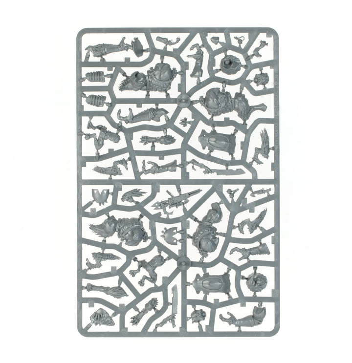 Warhammer 40,000: Combat Patrol - Kroot