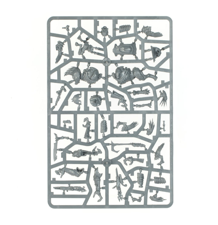 Warhammer 40,000: Combat Patrol - Kroot