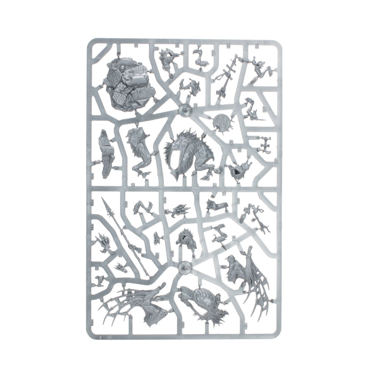 Warhammer Age of Sigmar: Flesh-eater Courts - Morbheg Knights
