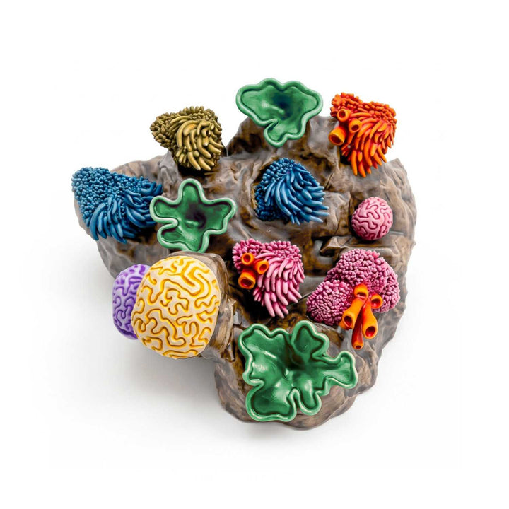 Coral Reef Plants 1:48-1:35 (Green Stuff World)