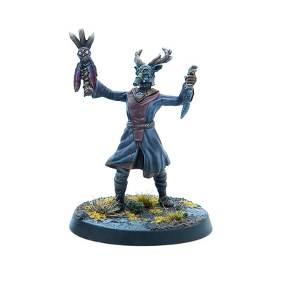 Fallout: Miniatures - Cult of the Mothman - Clergy