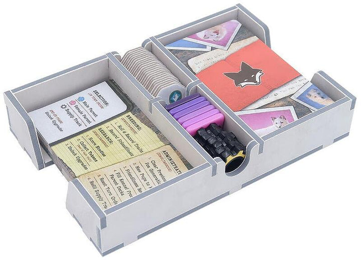 Insert for The Fox Experiment (FS-FOXE) - Folded Space