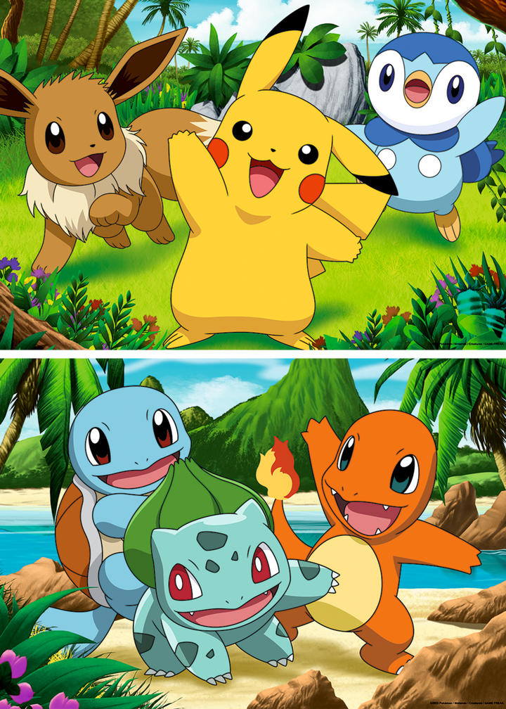 Pikachu and His Friends (2x24 brikker)
