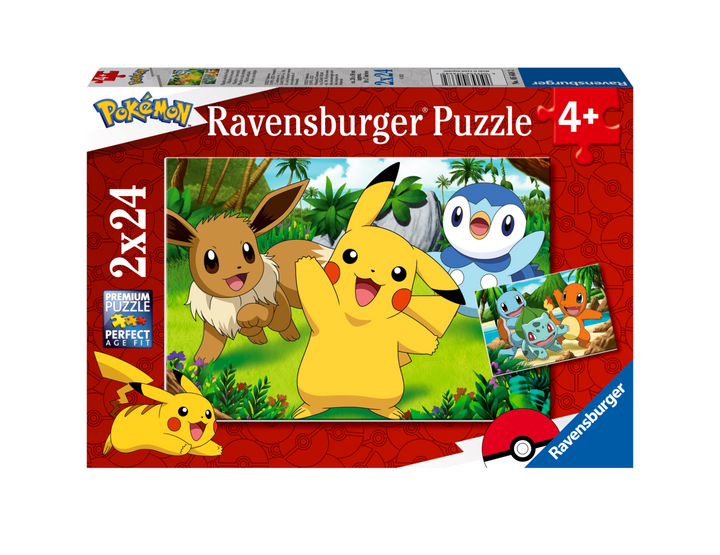 Pikachu and His Friends (2x24 brikker)