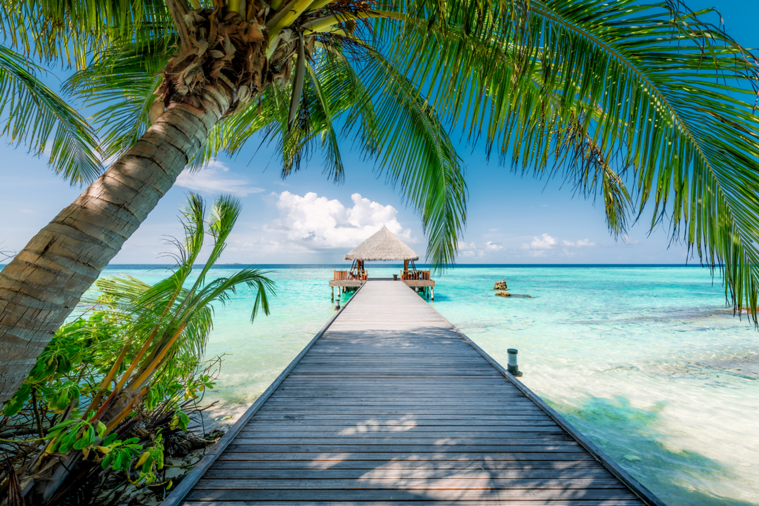 Dream beach in the Maldives (4000 brikker)