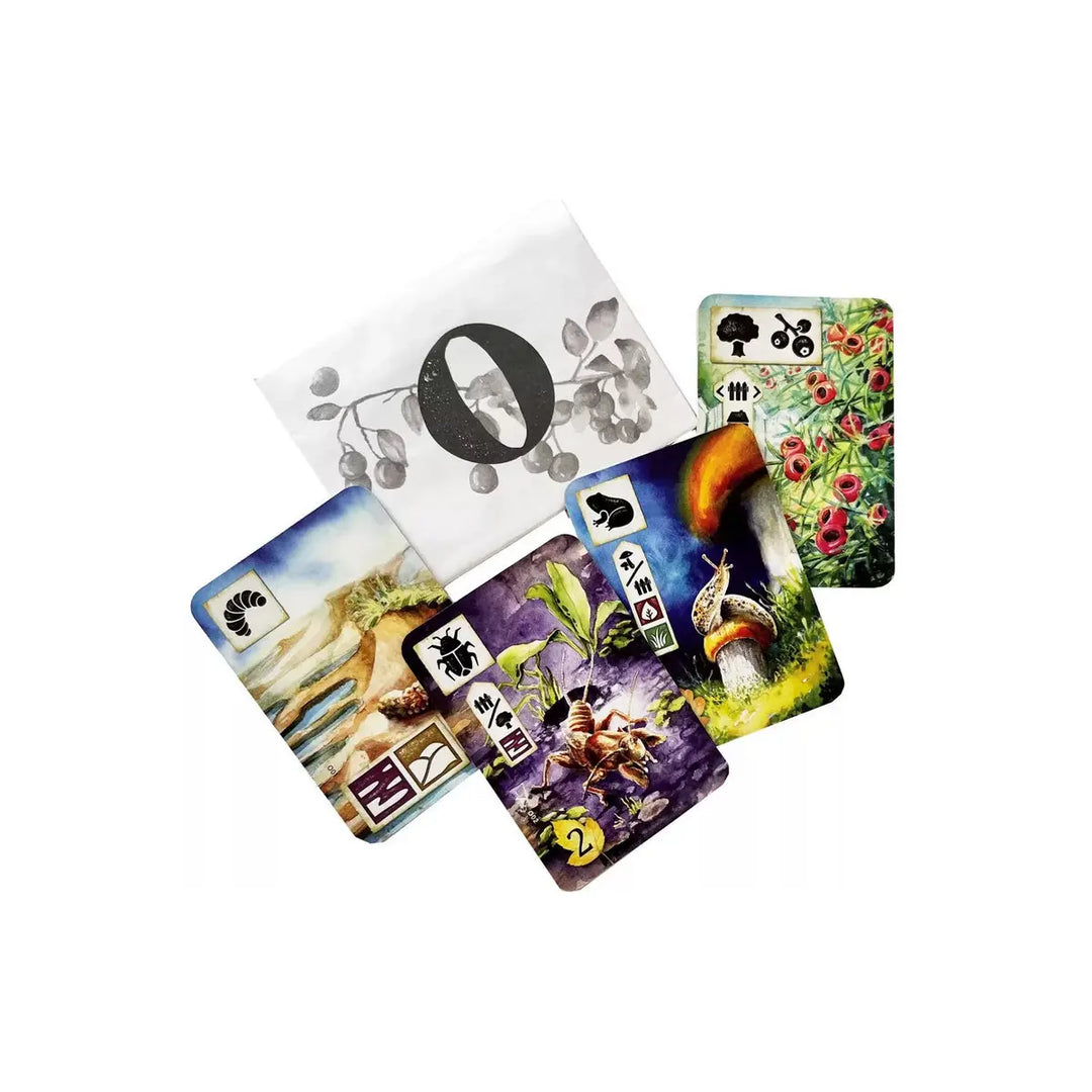 Meadow: Promo Envelope O