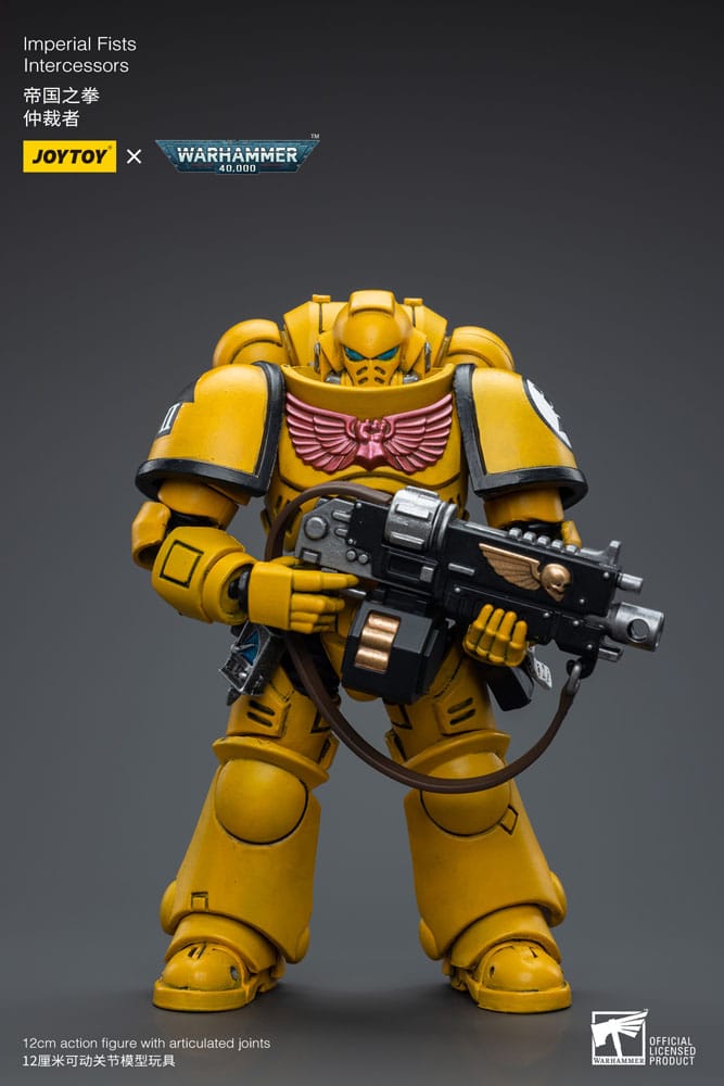 Warhammer 40,000 Action Figure - Imperial Fists Intercessors