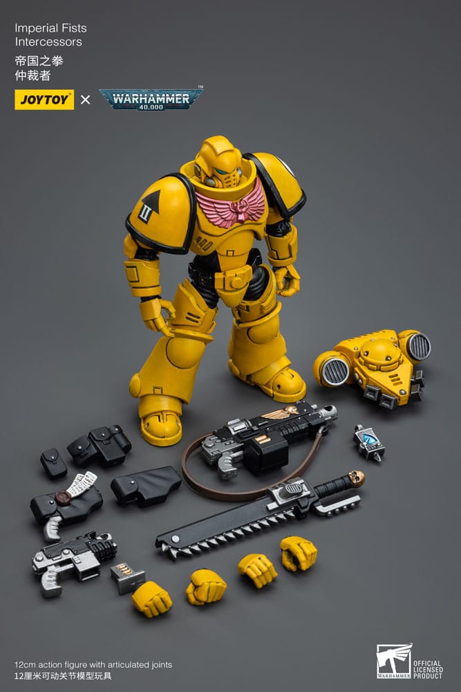 Warhammer 40,000 Action Figure - Imperial Fists Intercessors