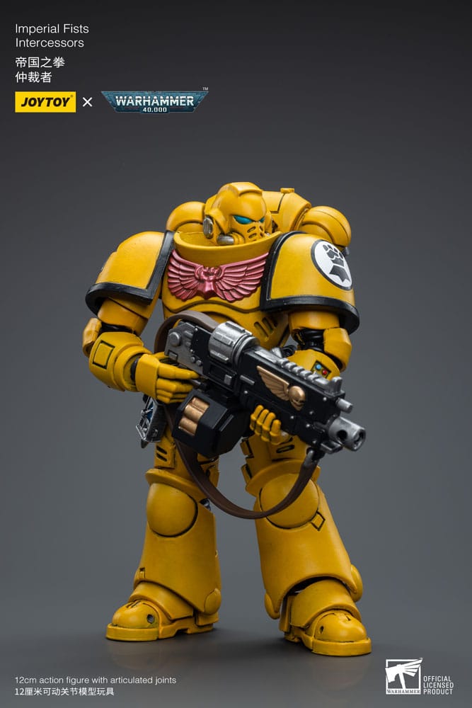 Warhammer 40,000 Action Figure - Imperial Fists Intercessors
