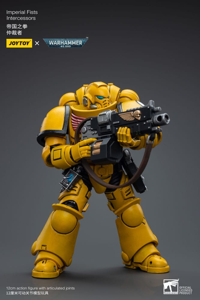 Warhammer 40,000 Action Figure - Imperial Fists Intercessors