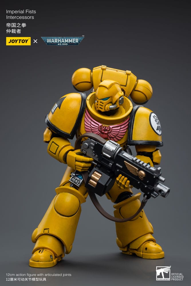 Warhammer 40,000 Action Figure - Imperial Fists Intercessors