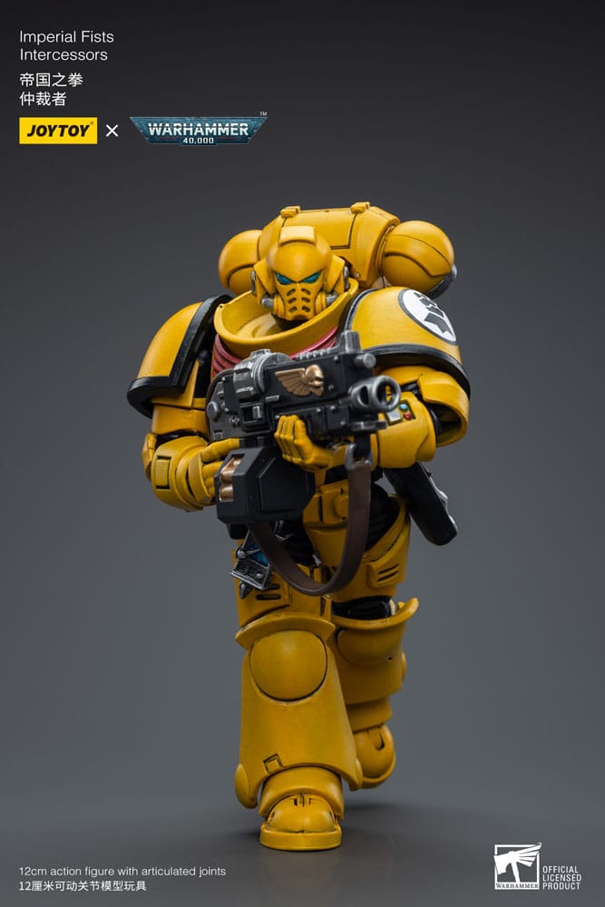 Warhammer 40,000 Action Figure - Imperial Fists Intercessors