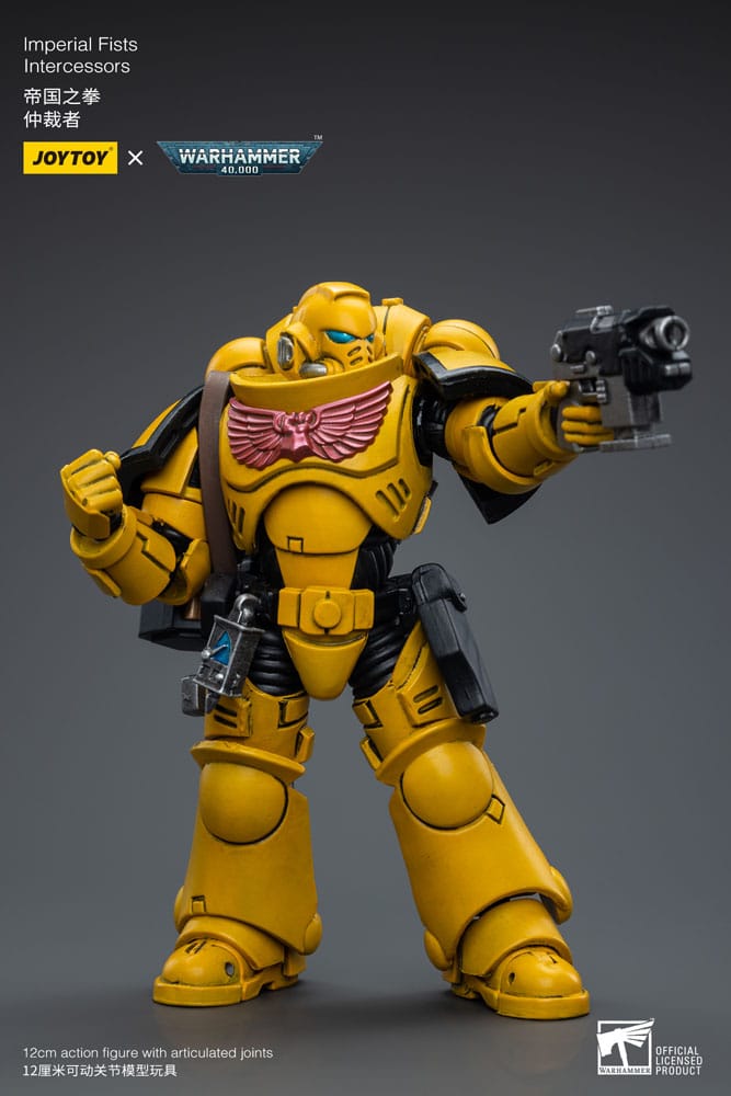 Warhammer 40,000 Action Figure - Imperial Fists Intercessors